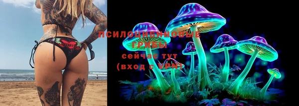 дурь Лиски