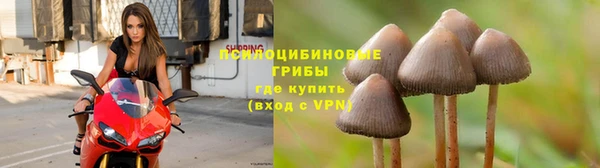 МДПВ Осинники