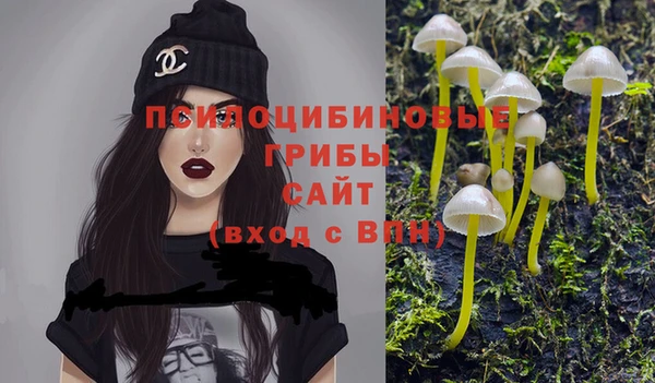 дживик Остров