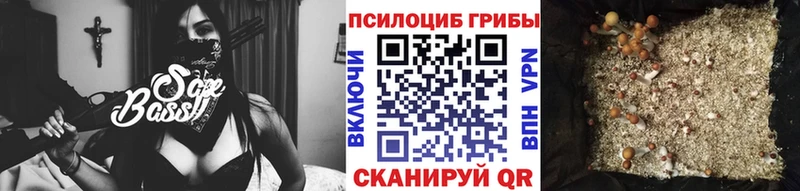 Псилоцибиновые грибы прущие грибы  MEGA ТОР  это как зайти  Волжский 