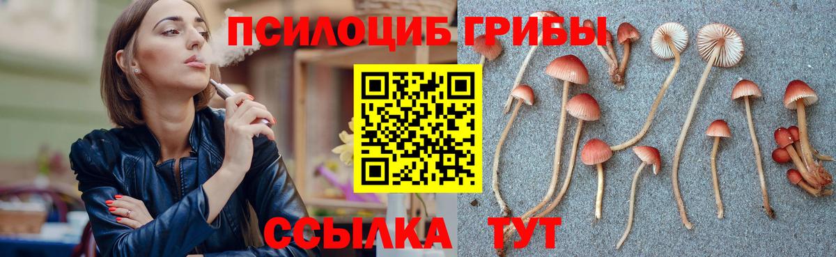 Псилоцибиновые грибы прущие грибы  Галлюциногенные грибы Psilocybine cubensis  Вход с VPN  Волжский 