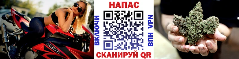Бошки Шишки семена  Волжский 