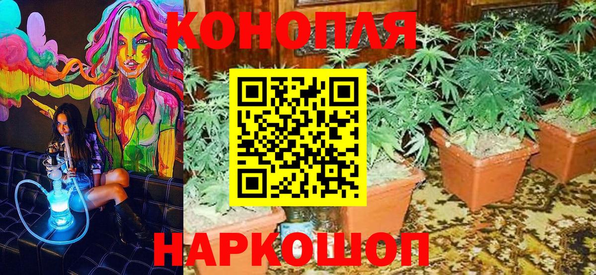 МАРИХУАНА семена  Бошки Шишки ГИДРОПОН  Волжский  Канабис Ganja  Вход с VPN 